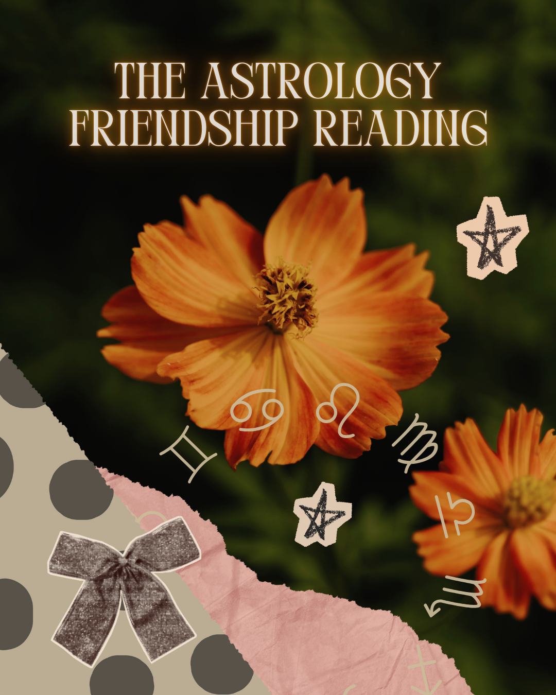 The Astrology Friendship Reading