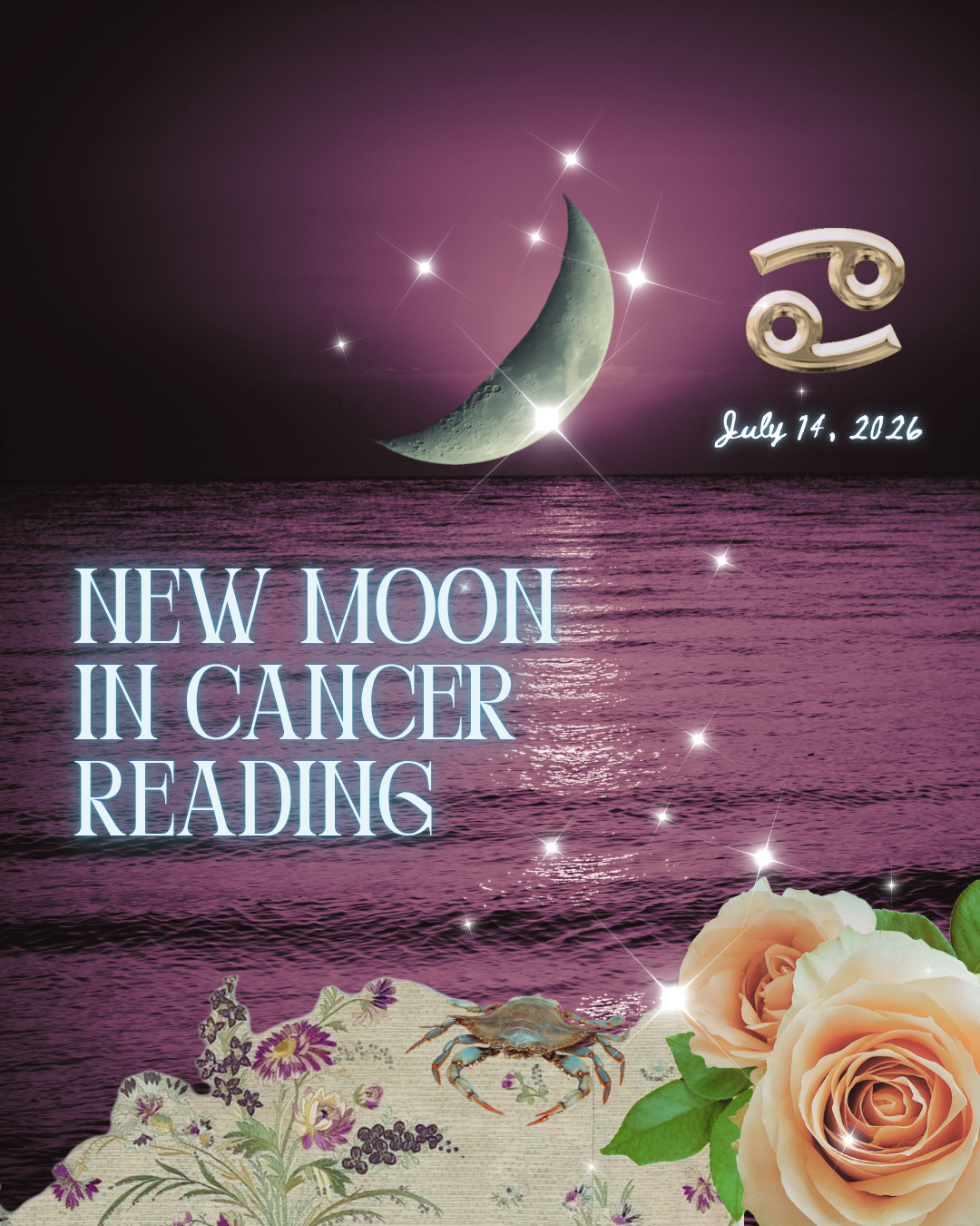 New Moon in Cancer Reading
