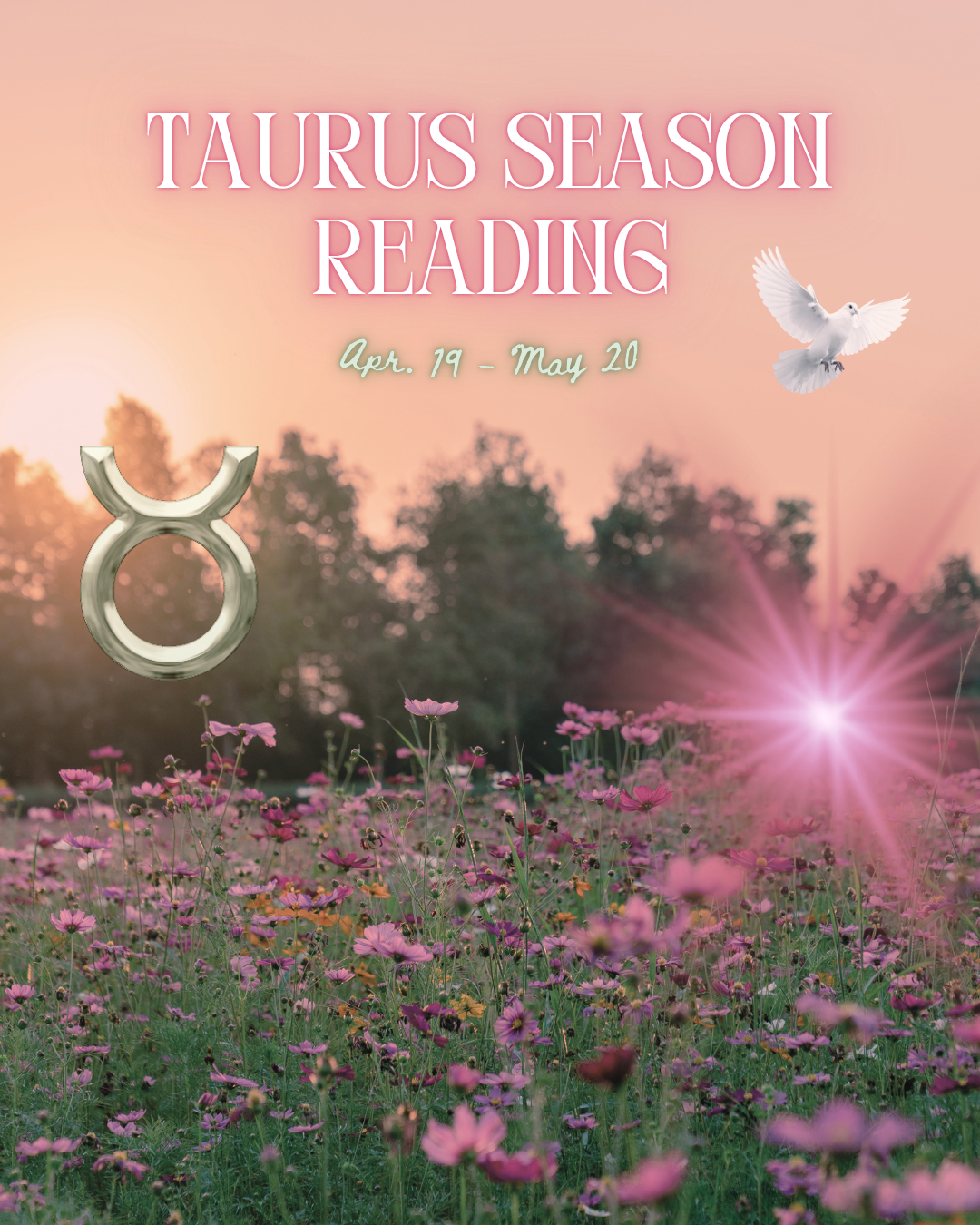 Taurus Season Reading